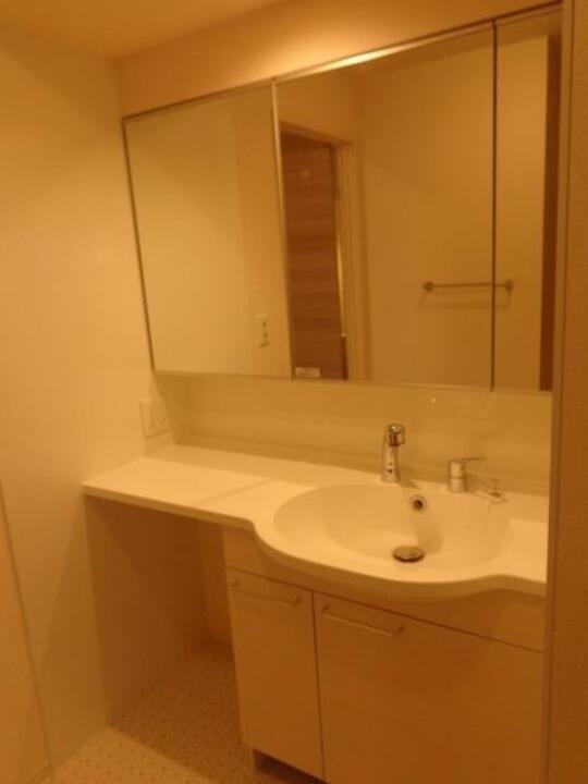 シャンプードレッサー