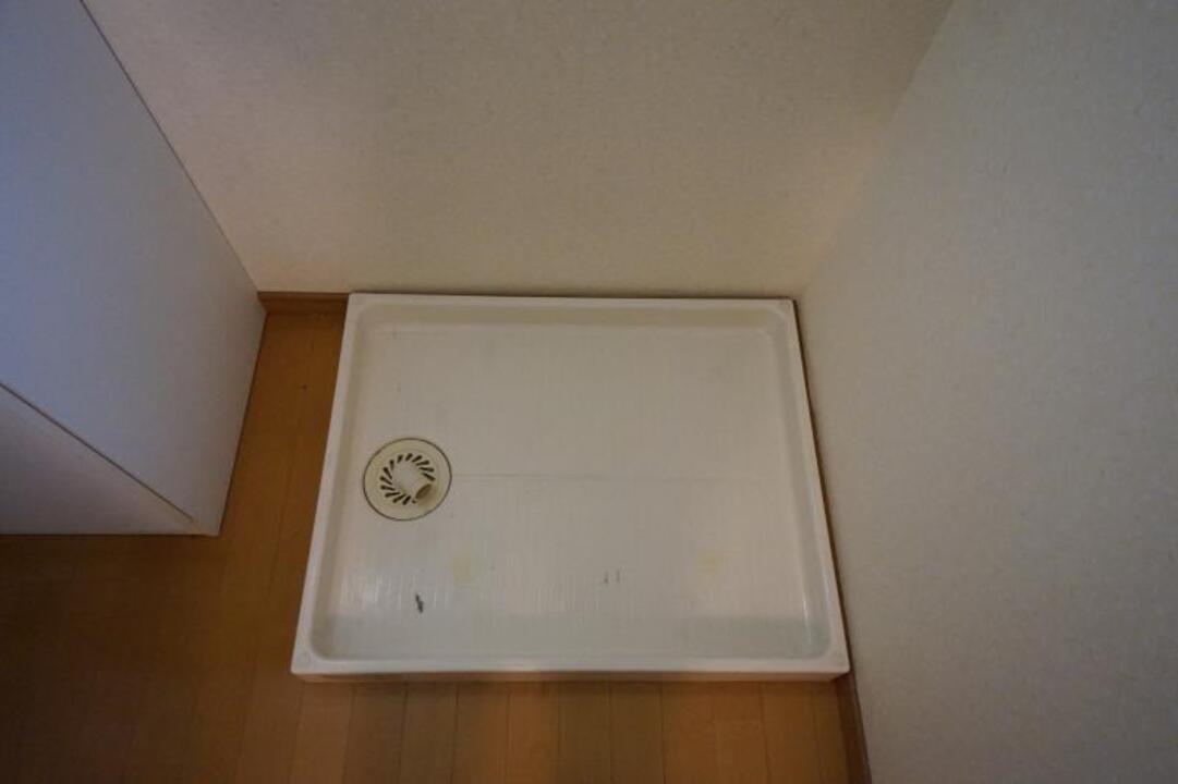 シャンプードレッサー