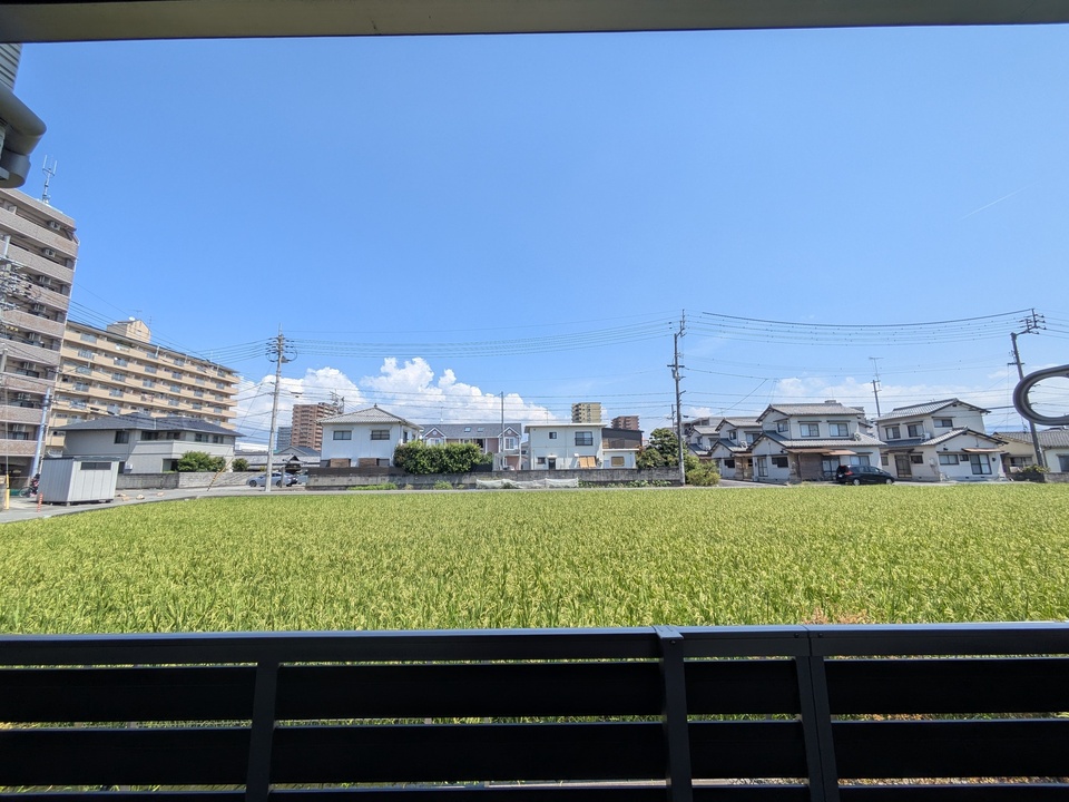 背景