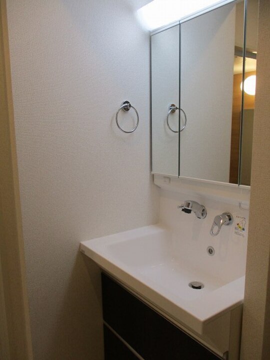 シャワー付洗面化粧台