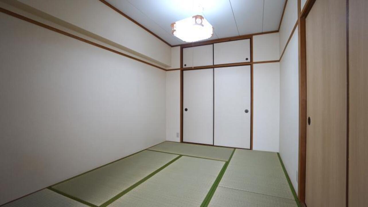 シャンプードレッサー