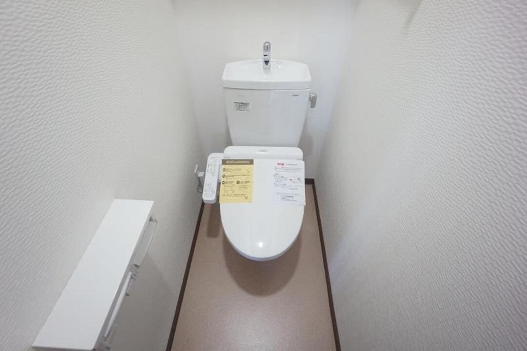シャンプードレッサー