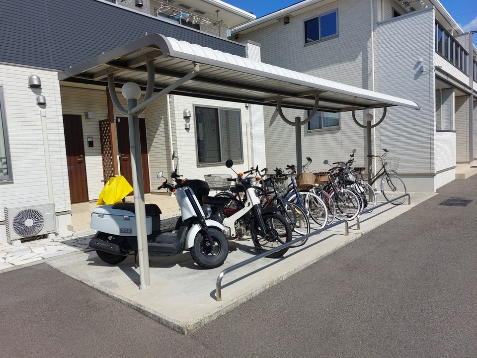 シャンプードレッサー