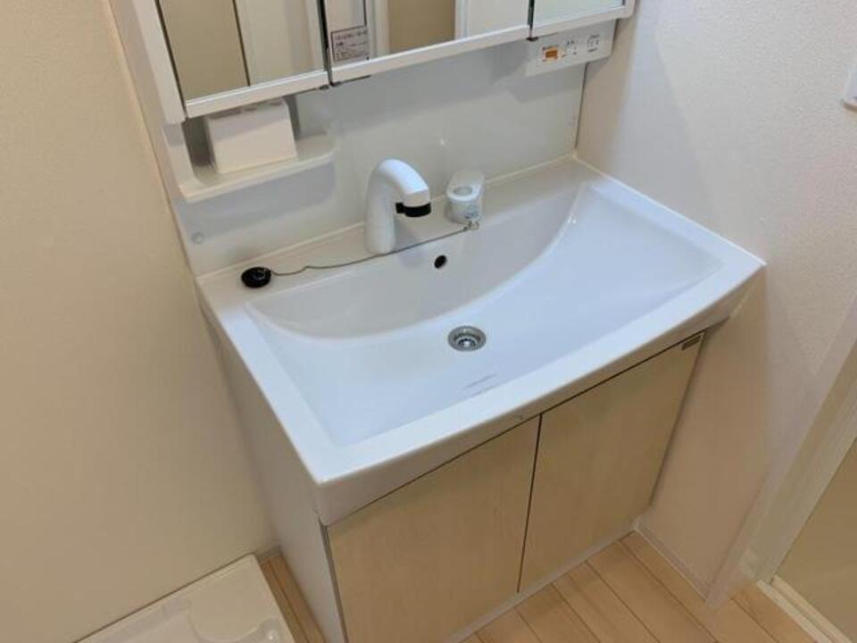 シャンプードレッサー