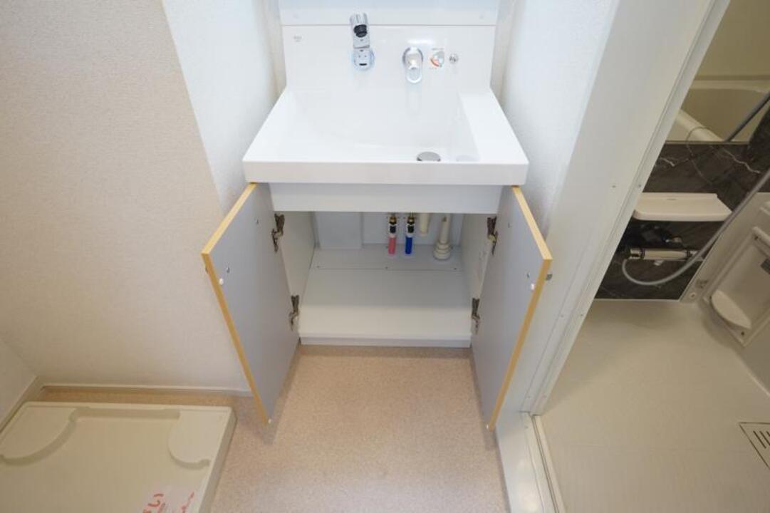 シャンプードレッサー