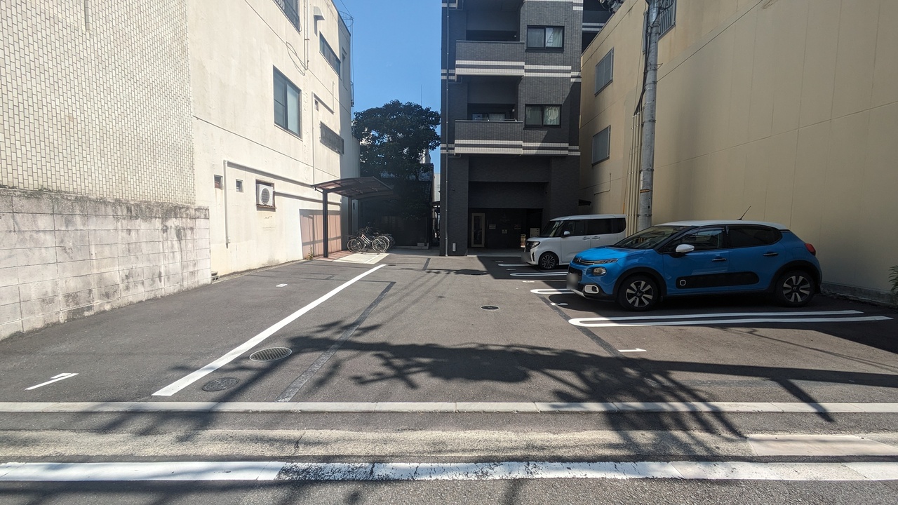 シャンプードレッサー
