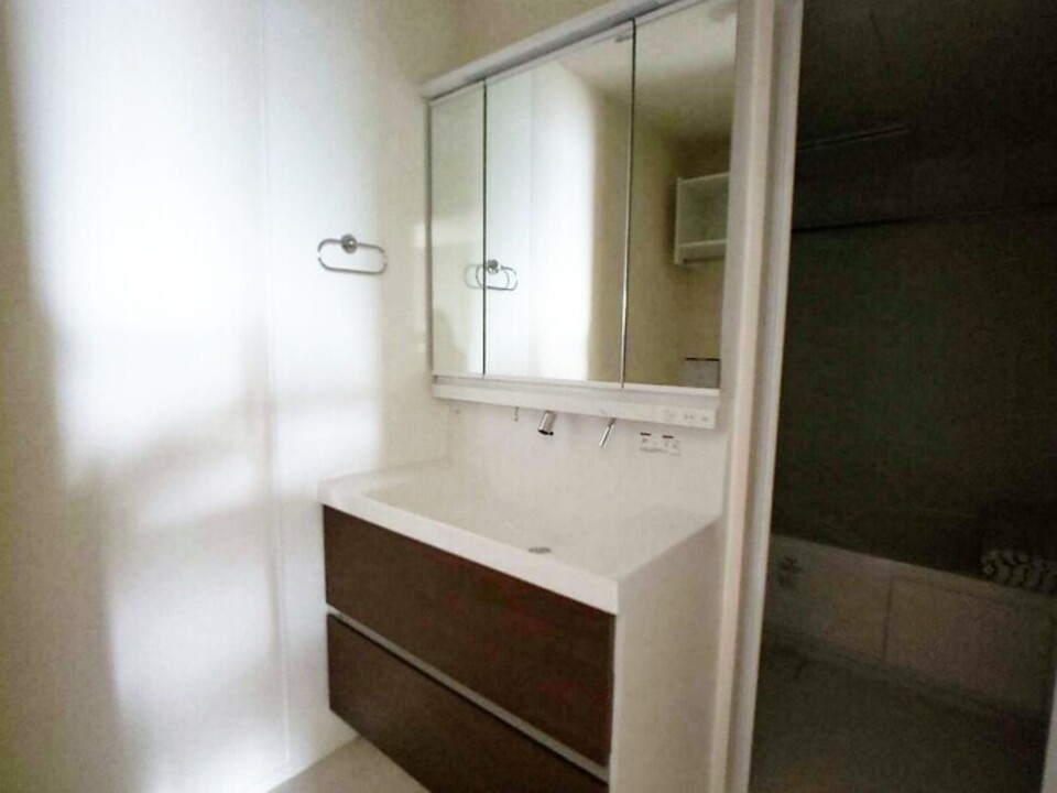 シャワー付洗面化粧台