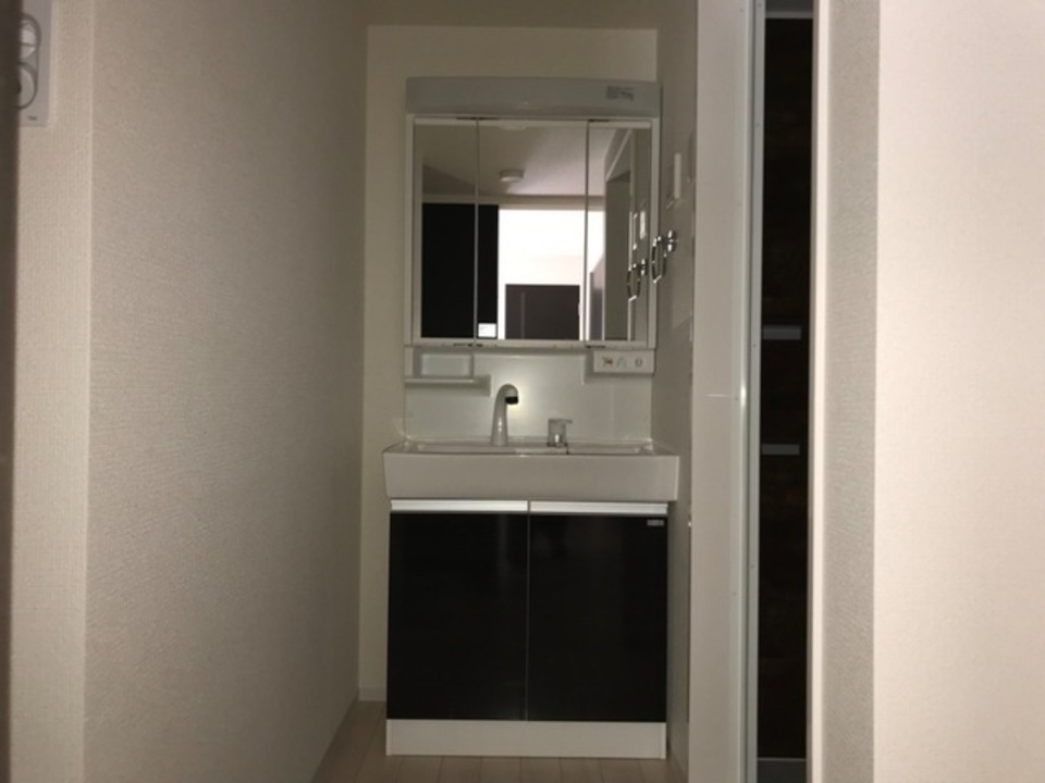 シャワー付洗面化粧台