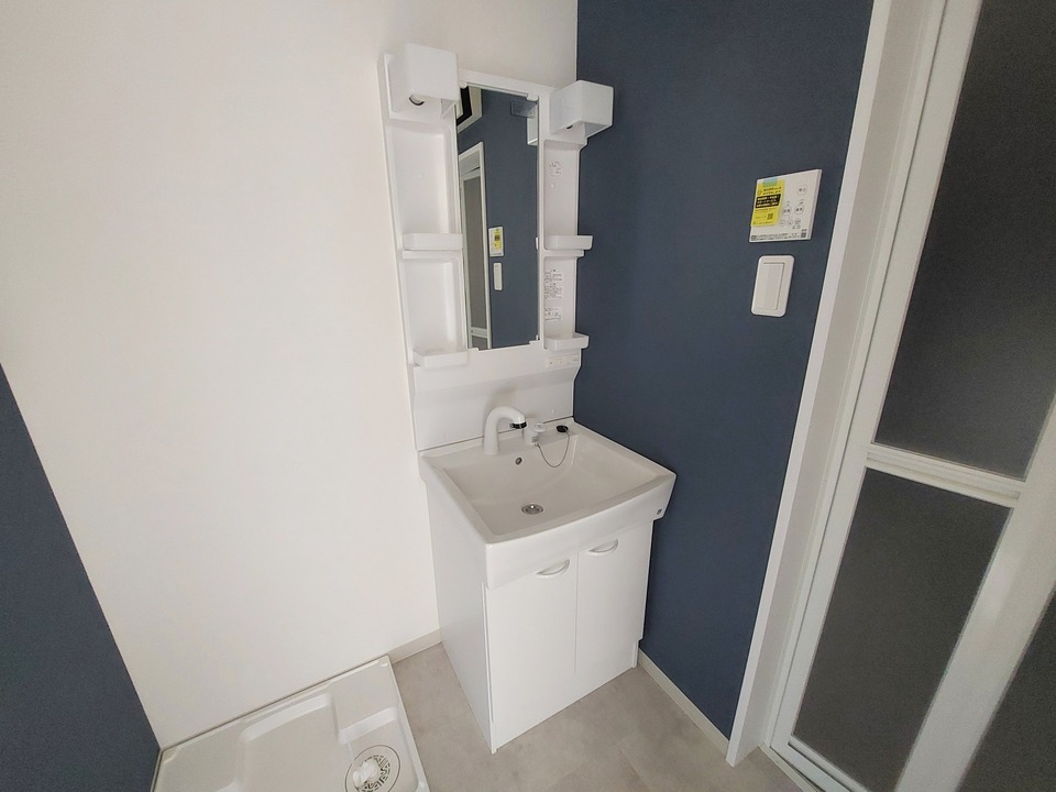 シャンプードレッサー