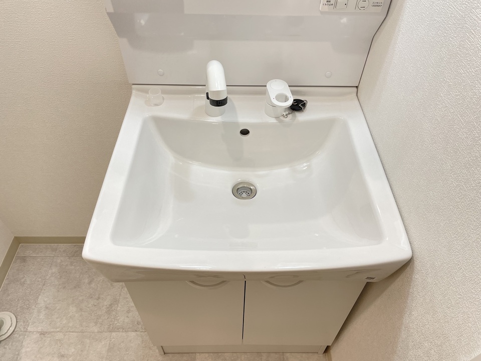 シャンプードレッサー