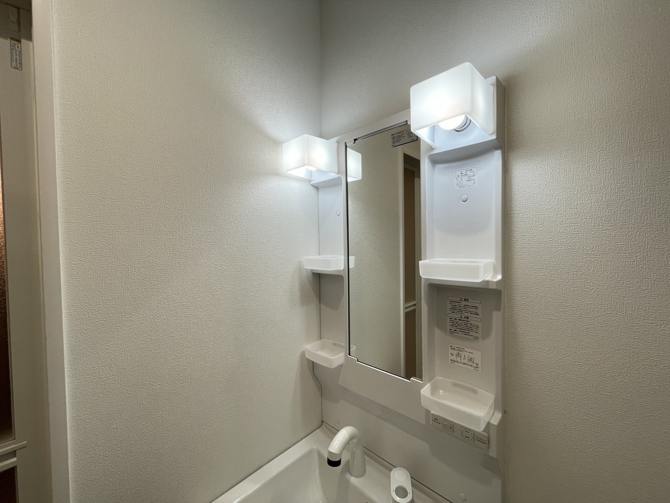 シャンプードレッサー