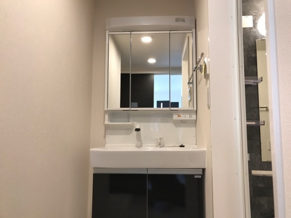 シャワー付洗面化粧台
