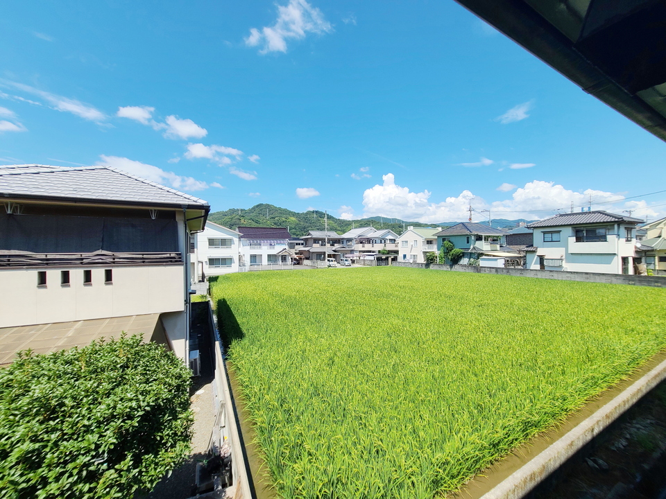 背景