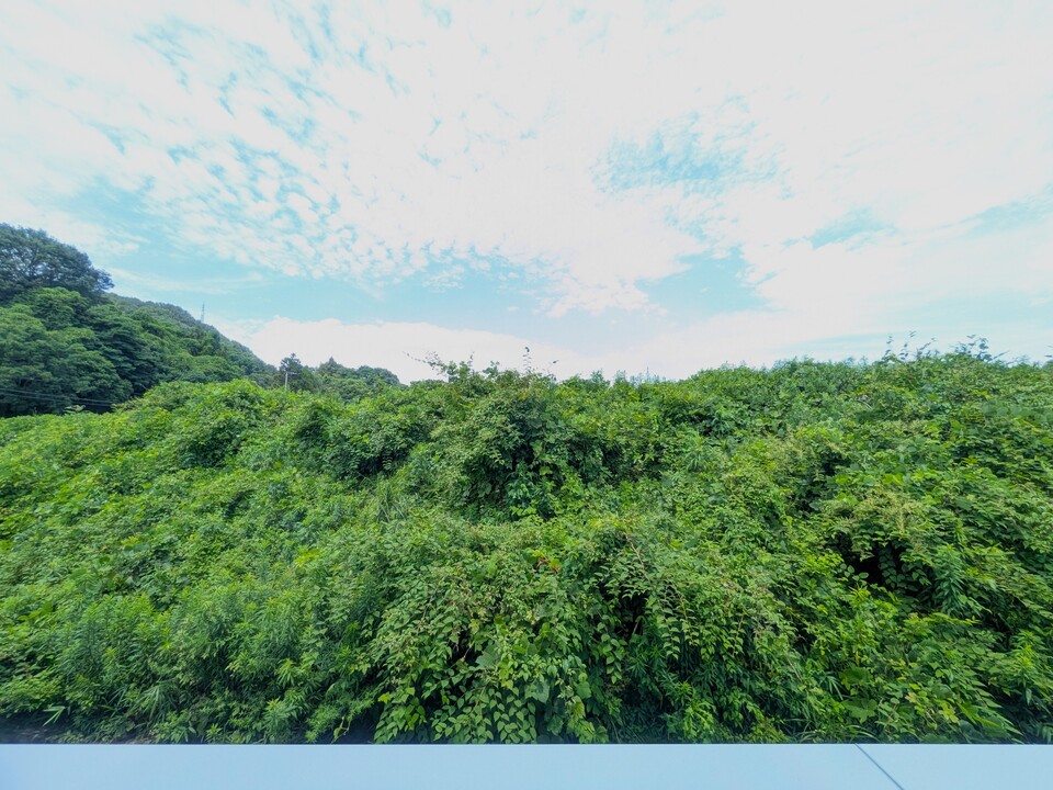 背景