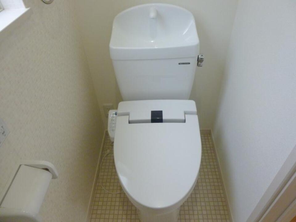 棚