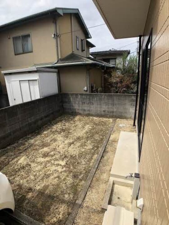 庭