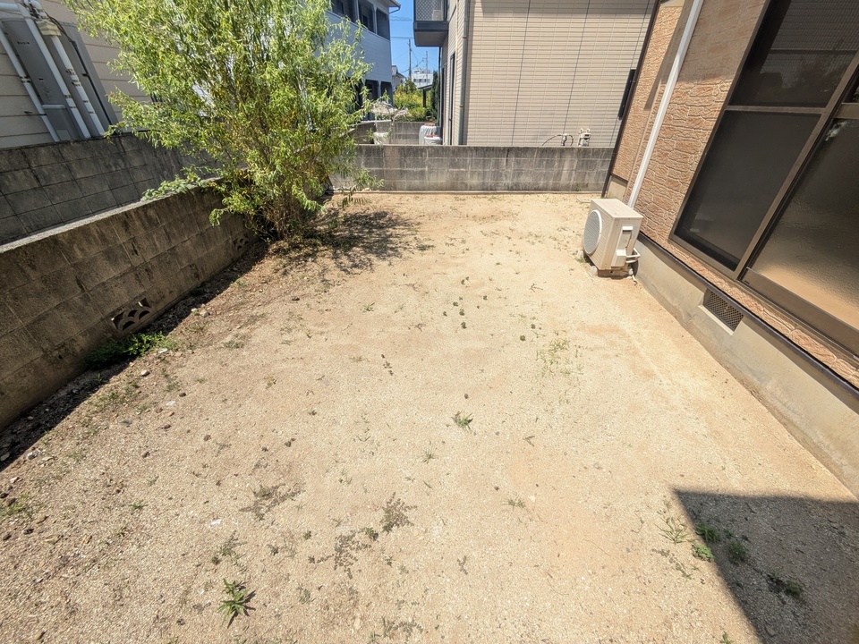庭