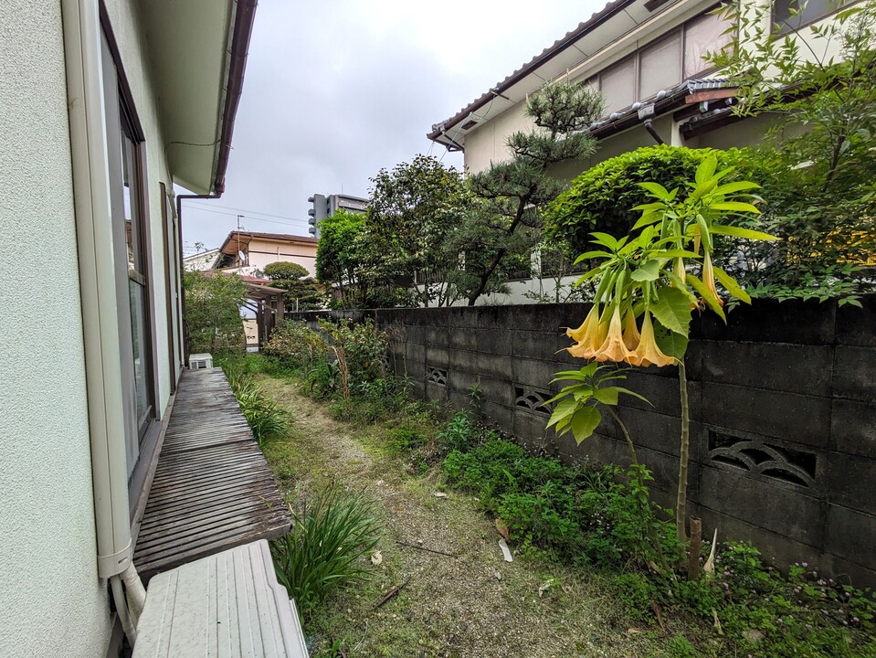 庭